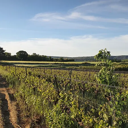 A La Maison De Sophie ベッド・アンド・ブレックファスト