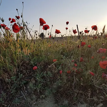 A La Maison De Sophie ベッド・アンド・ブレックファスト ジニャック
