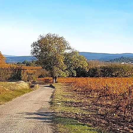 A La Maison De Sophie Gignac (Herault)