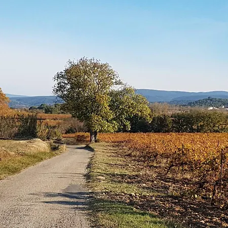 A La Maison De Sophie 4*